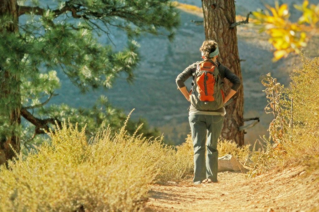 a woman hiking, walking towards a tree