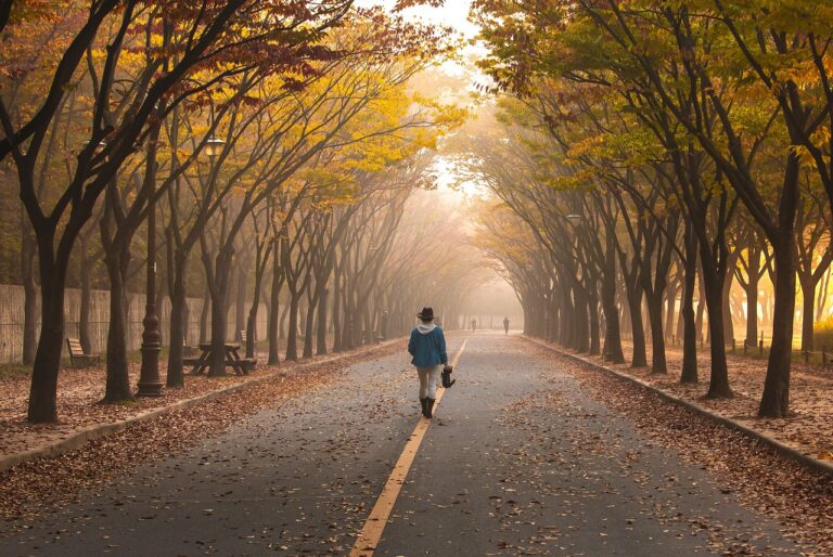 a person wearing a hat walking in the middle of a road surrounded by trees in autumn