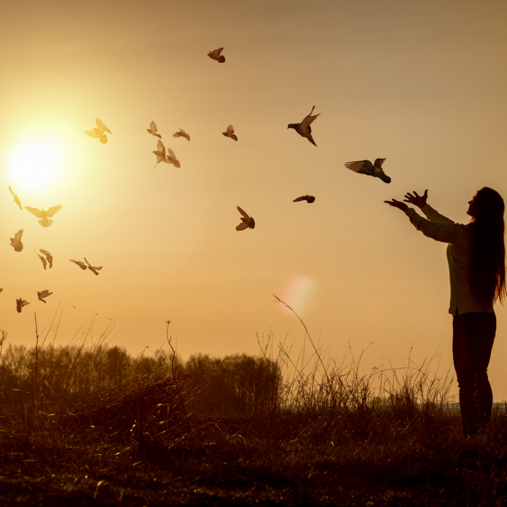 a person lifts their arms to the sky as birds fly towards the sunrise