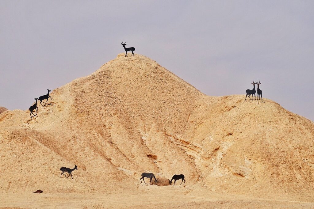 gazelle climb on a hill in the desert