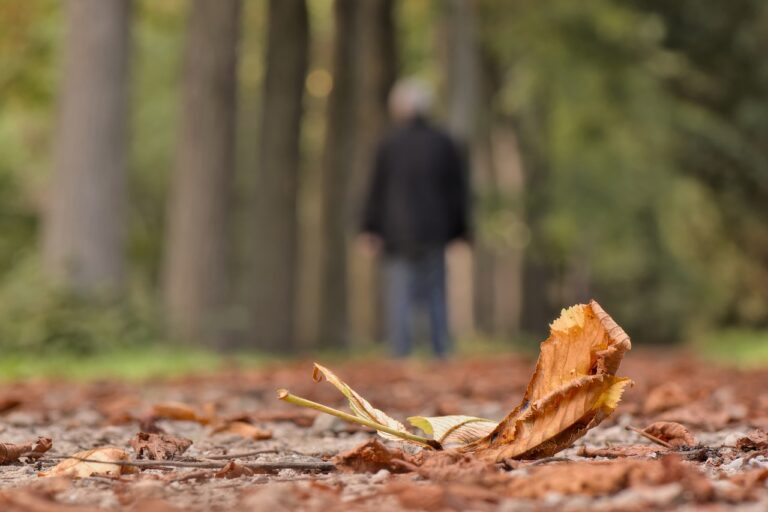 a person walking towards trees, a leaf in the foreground