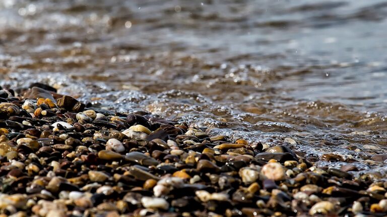 small pebbles at the edge of a creek