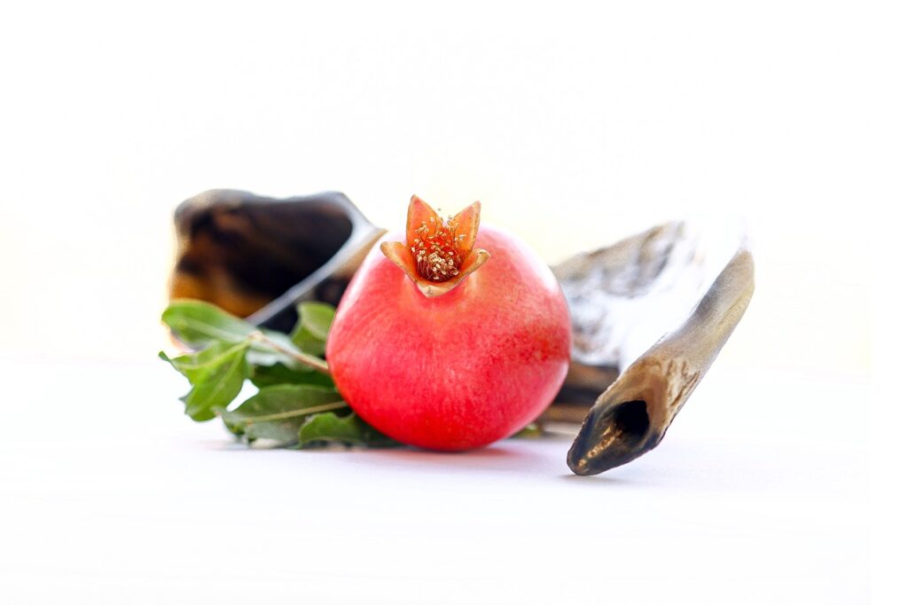 a pomegrantate in front of a brown shofar