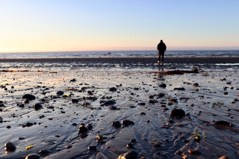 a person walks on a beach alone, towards the ocean