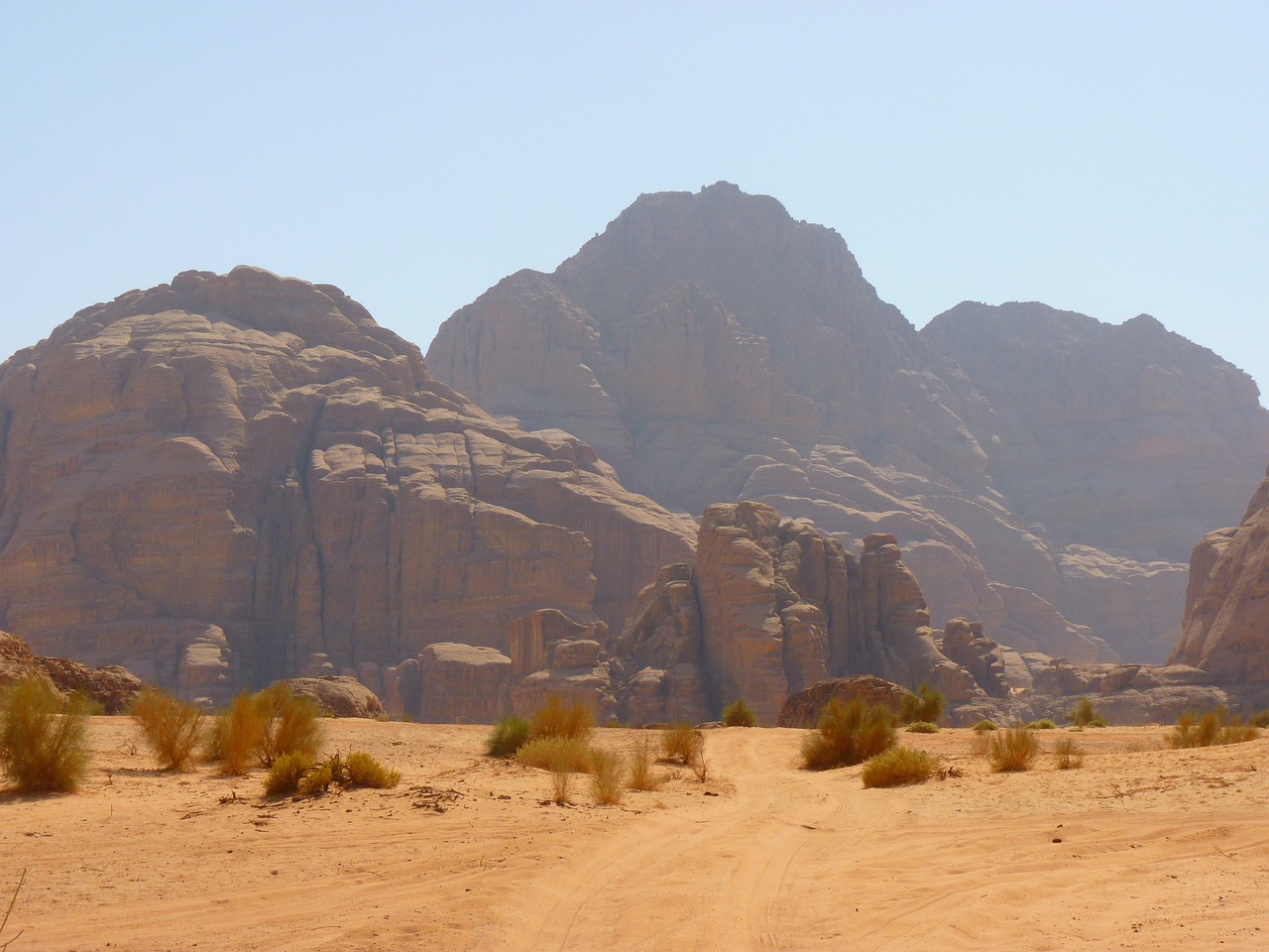 a wadi stands in teh desert against small hills