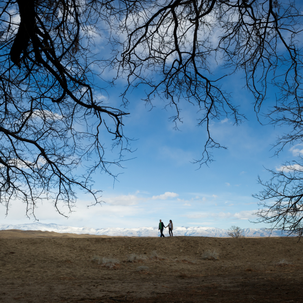 Two people walk across a barren landscape under a clear blue sky framed by the branches of a tree.