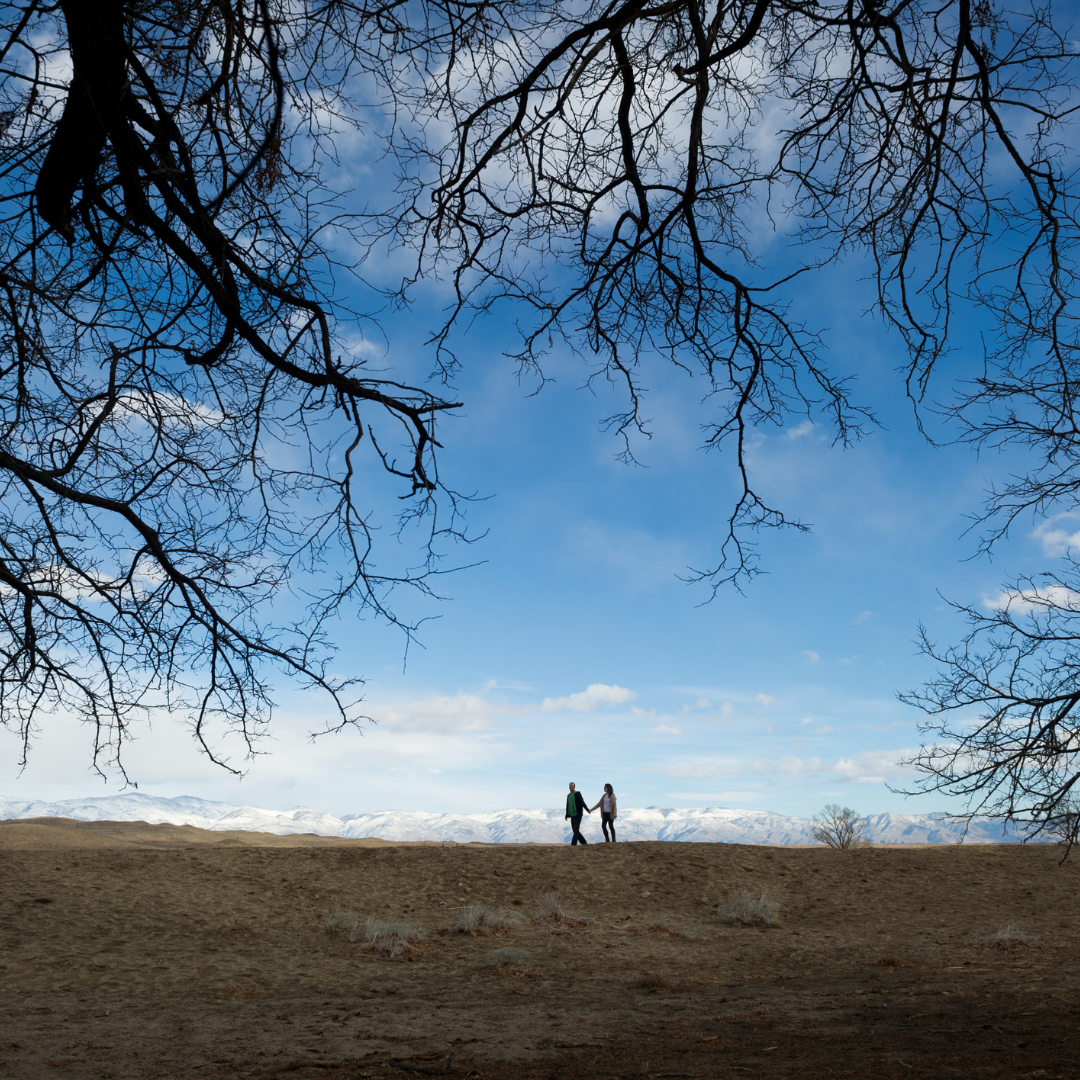 Two people walk across a barren landscape under a clear blue sky framed by the branches of a tree.