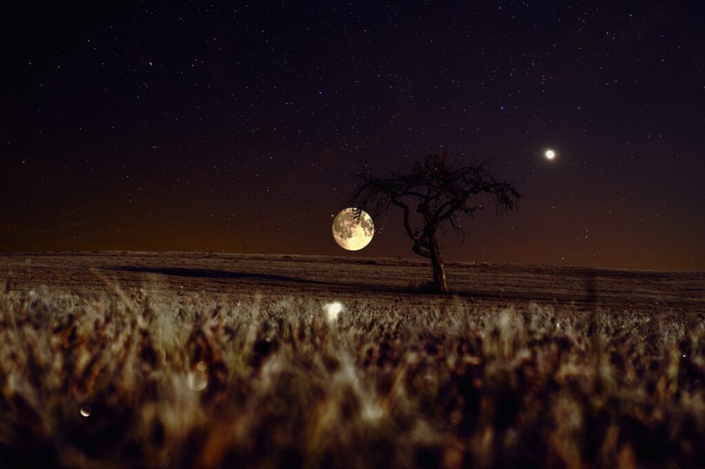 A lone tree stands in a frosty field under a starry sky with the moon and a bright planet visible.