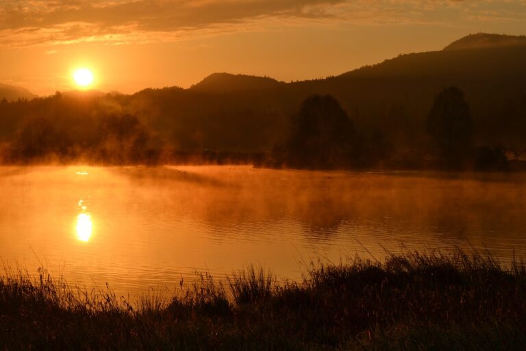 Sunset over a foggy lake with mountains in the background and tall grasses in the foreground.