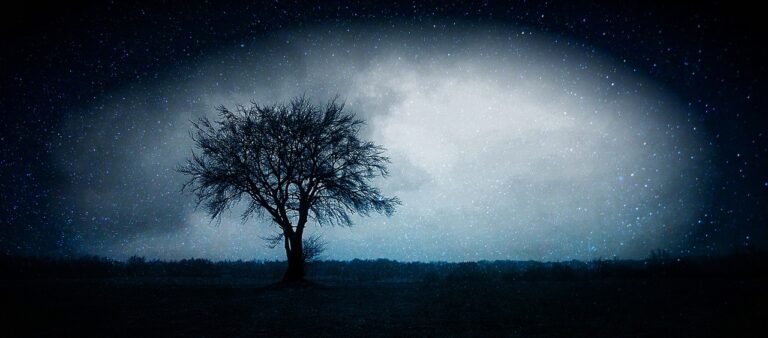 A lone tree stands silhouetted against a starry night sky with a bright white glow in the background.