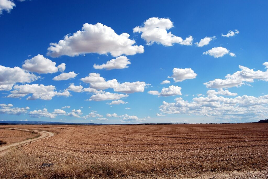 A vast, empty field under a bright blue sky filled with scattered fluffy clouds.