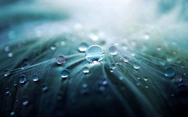 Close-up of dewdrops on a soft, feather-like surface with a blurred, gradient background in blue and green hues.