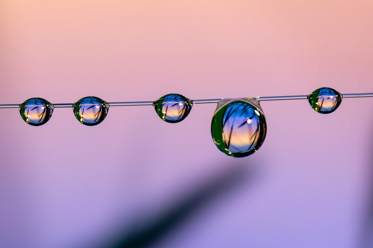 Close-up of water droplets on a wire, reflecting colorful sky and plants at sunset or sunrise.