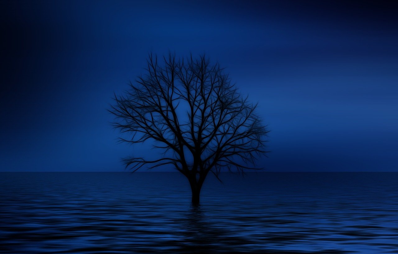 A leafless tree stands in calm water under a deep blue sky, creating a serene and moody scene.