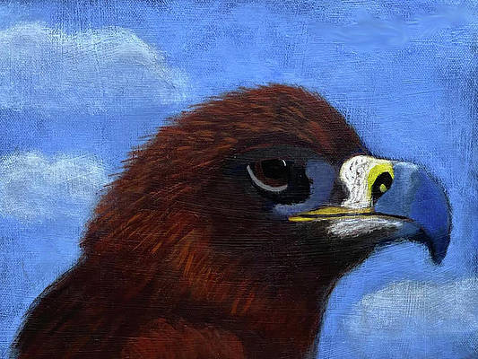 Painting of a brown bird with a blue beak against a blue sky with white clouds.