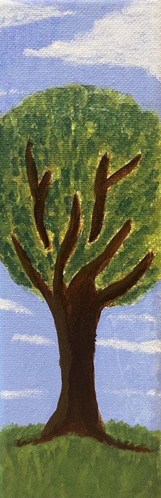 A tall tree with a thick brown trunk and a rounded green leafy top under a blue sky with white clouds.