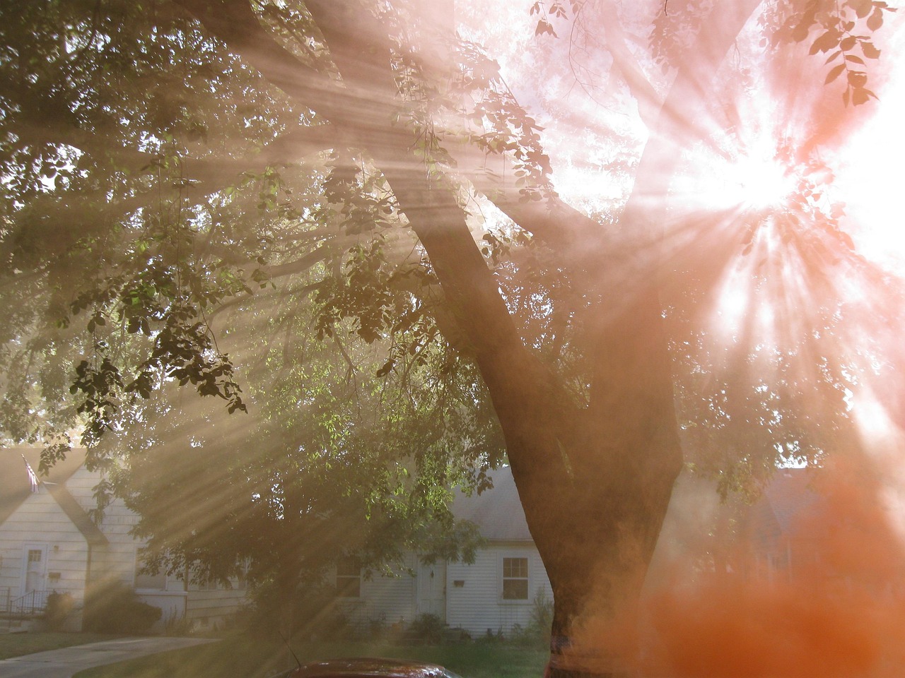 Sunlight streams through tree branches, creating bright rays and shadows over a house and yard.