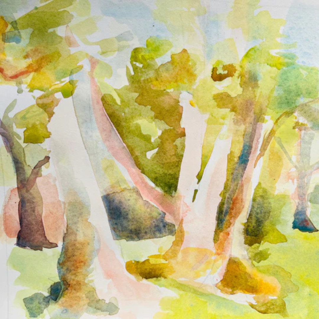 Watercolor painting of tall trees with green and yellow foliage in a sunlit forest scene.