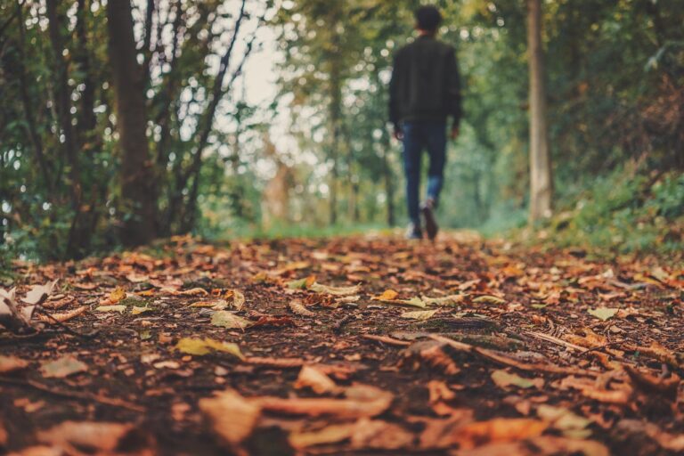 A person walks away on a leaf-covered forest path during autumn, surrounded by trees.