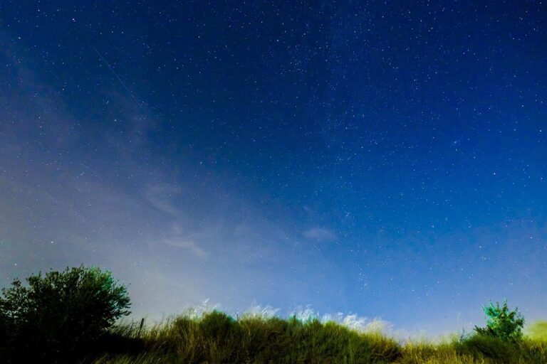 Starry night sky above grassy hill and bushes, with clear blue tones and faint clouds near the horizon.