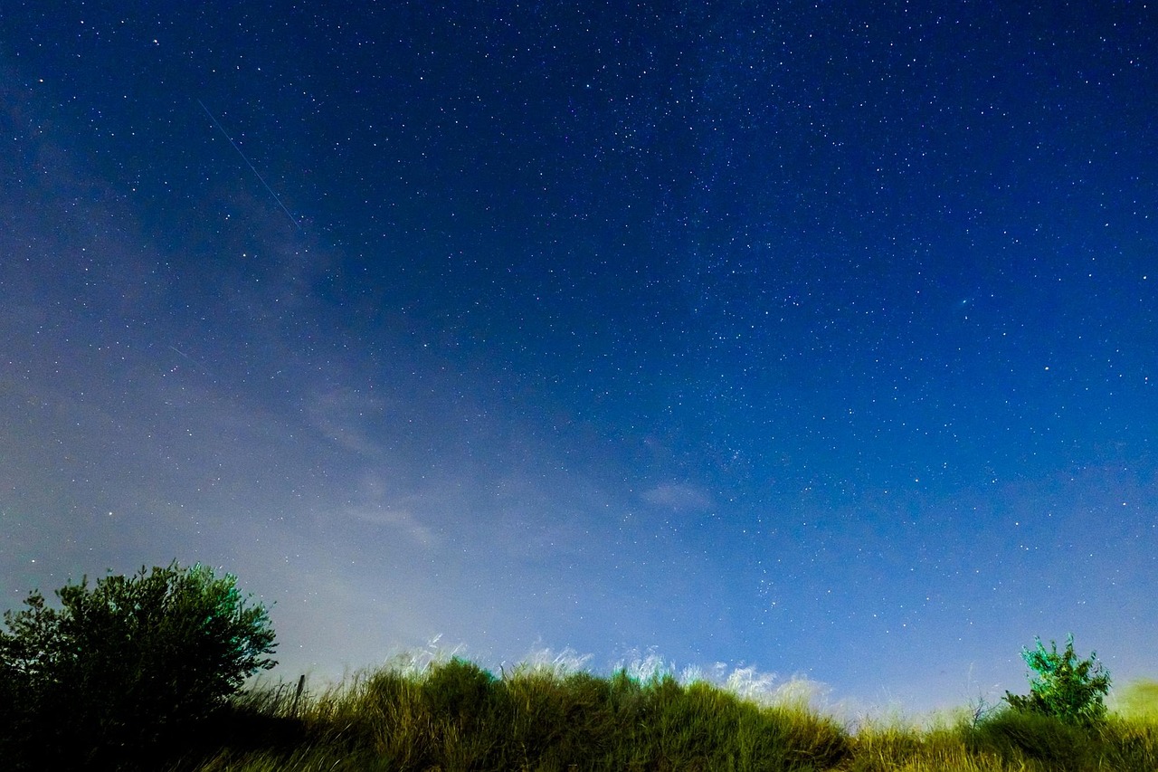 Starry night sky above grassy hill and bushes, with clear blue tones and faint clouds near the horizon.