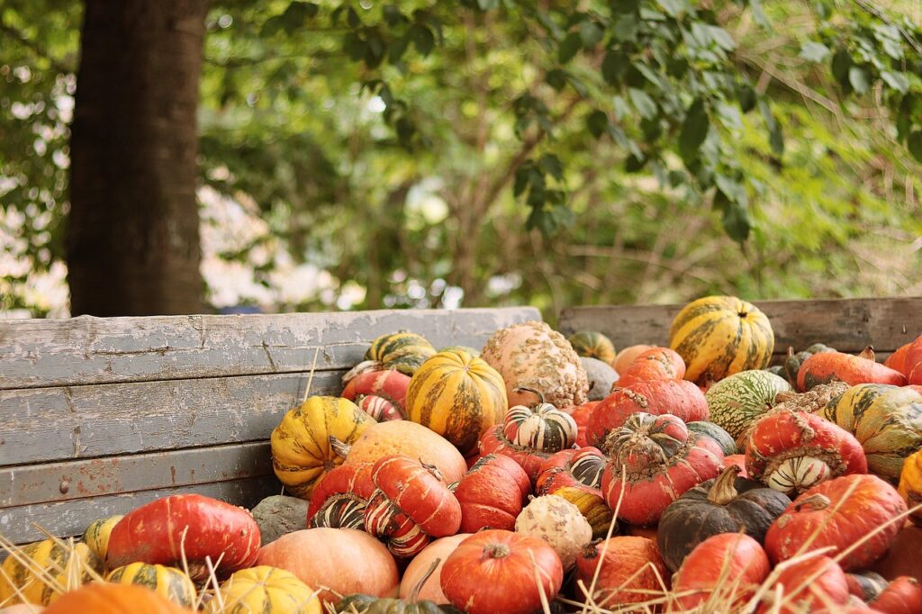 Assorted pumpkins and gourds in a rustic wooden cart outdoors, with trees and greenery in the background.
