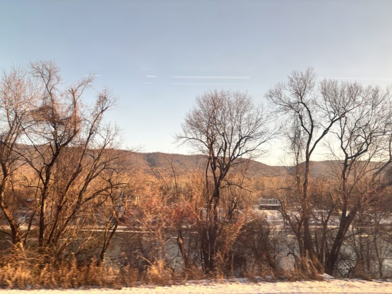 Bare trees by a river with hills in the background under a clear sky on a sunny winter day.