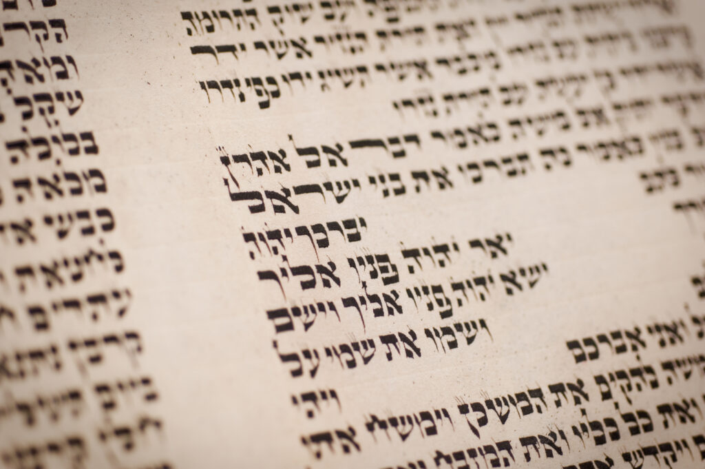 photo of where the priestly blessing appears in the torah scroll