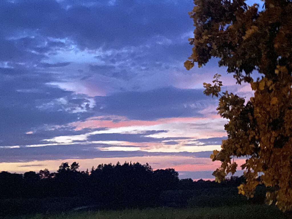 Colorful sunset sky with clouds, tree branches on the right, and a dark tree line in the distance.