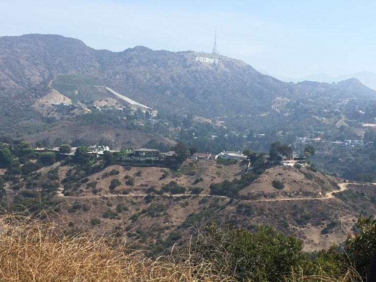 Distant view of the Hollywood sign on a hillside, surrounded by green and brown shrubs under a hazy sky.