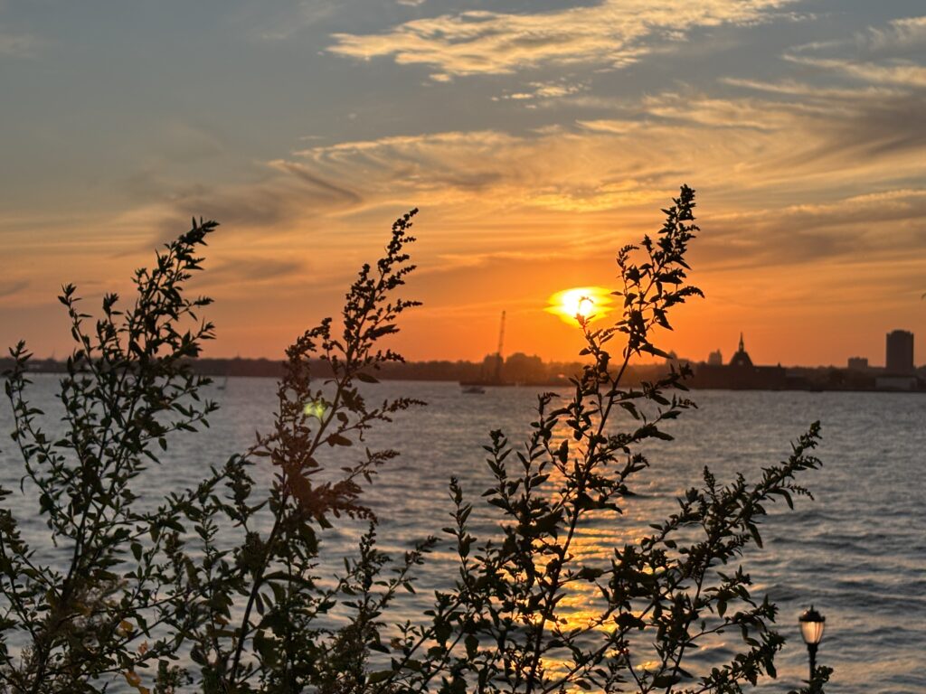 Sunset over a river with silhouetted branches in the foreground and city skyline in the background.