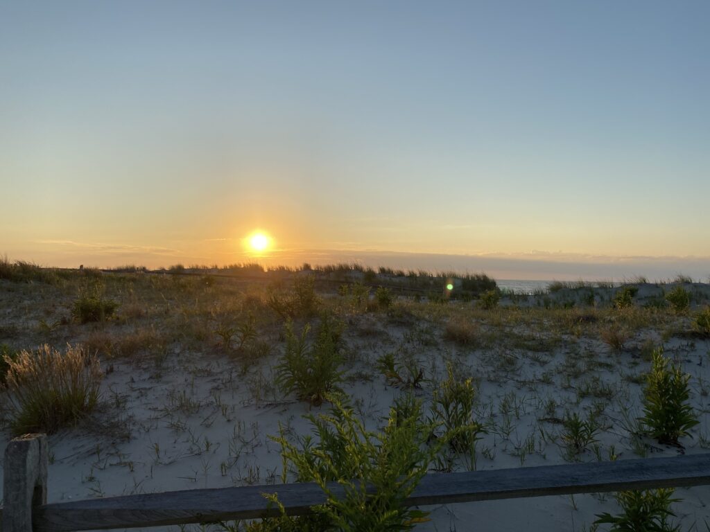 Sunrise over a sandy dune with grass and plants, clear sky, and calm ocean in the distance.