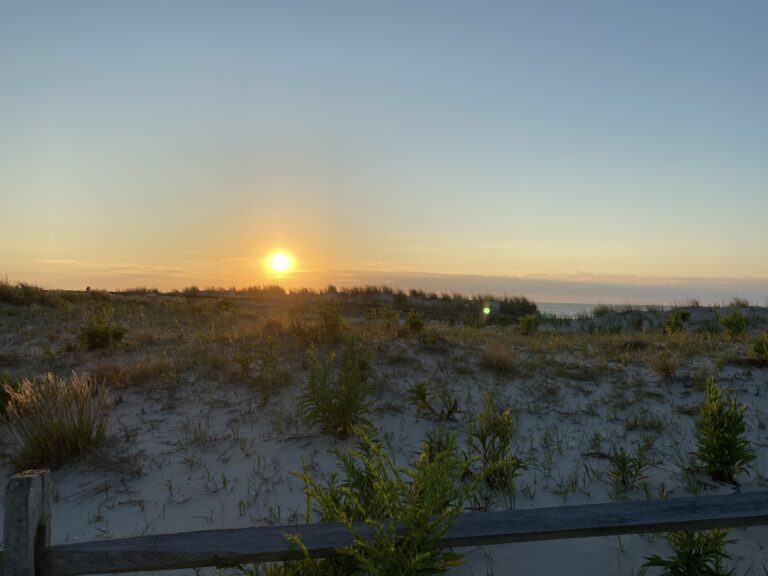 Sunrise over a sandy dune with grass and plants, clear sky, and calm ocean in the distance.