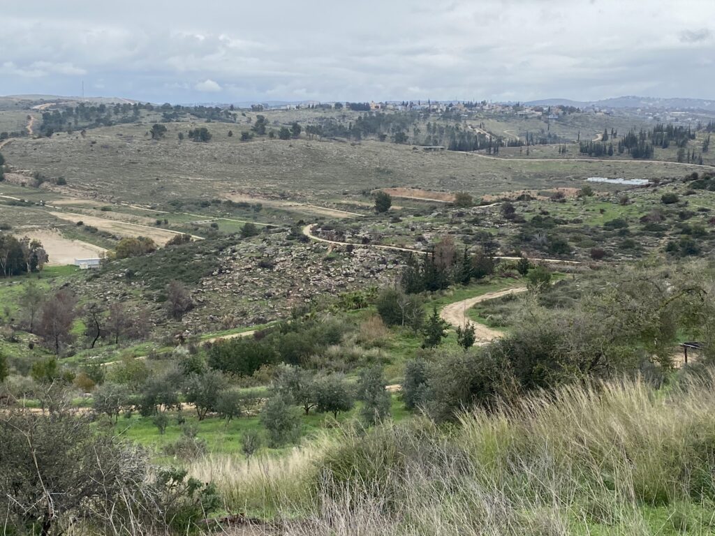 A winding dirt road cuts through a hilly, grassy landscape under a cloudy sky.
