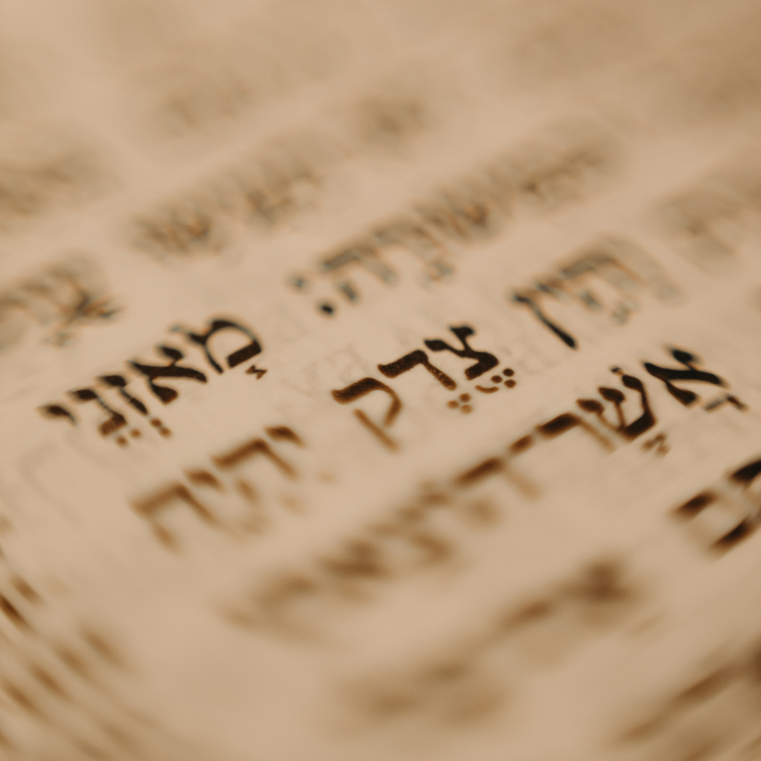 Torah text
