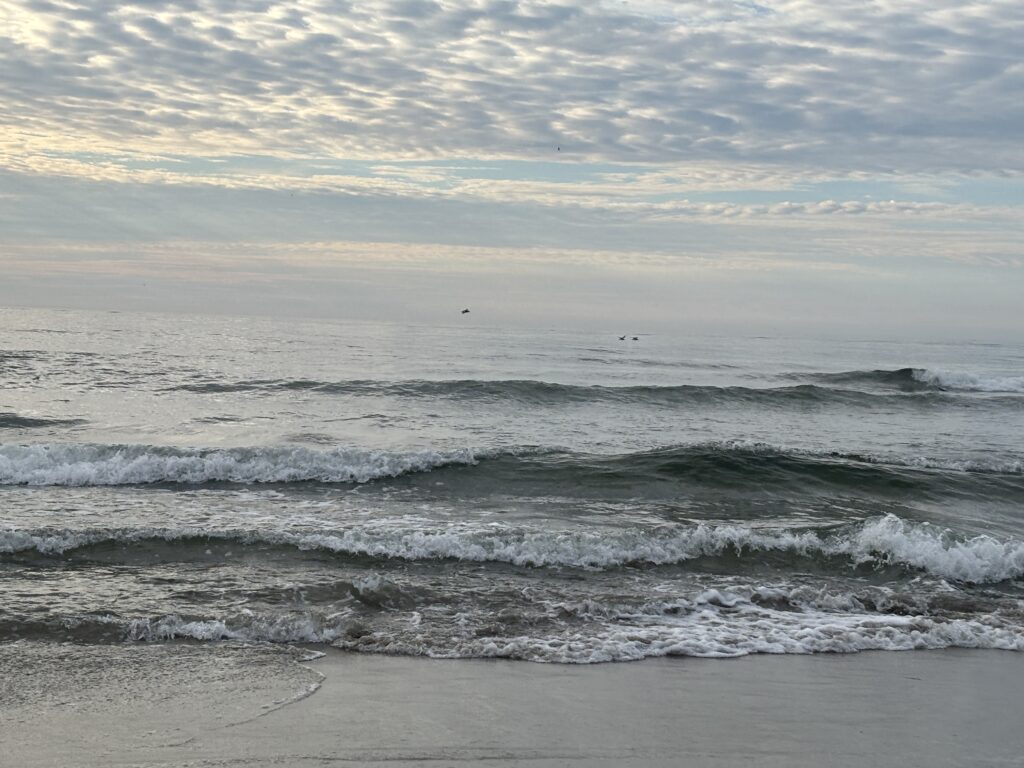 Waves gently crashing on a sandy beach under a cloudy sky with a few birds flying in the distance.