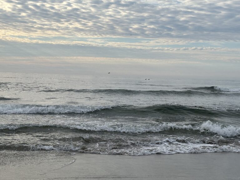 Waves gently crashing on a sandy beach under a cloudy sky with a few birds flying in the distance.
