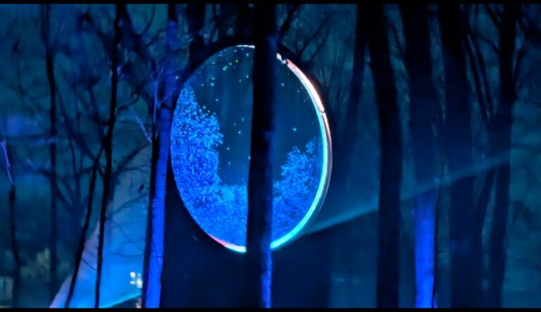 A glowing circular portal emits blue light among trees in a dark, foggy forest.