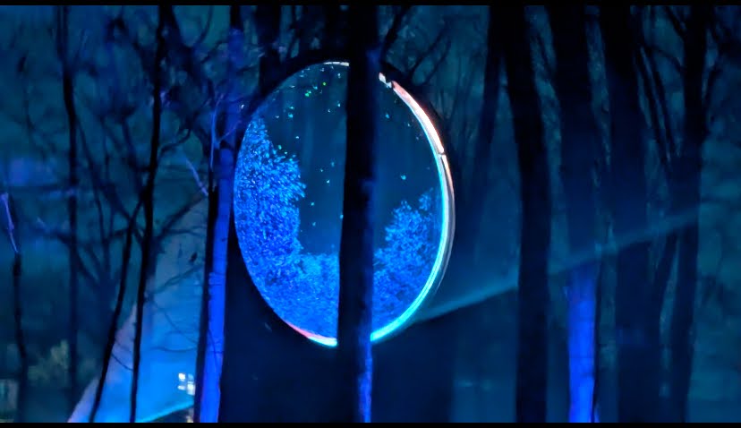 A glowing circular portal emits blue light among trees in a dark, foggy forest.
