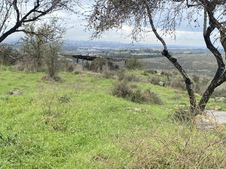 Green meadow with scattered rocks, two trees, ruins of a structure, and a distant city skyline under a cloudy sky.