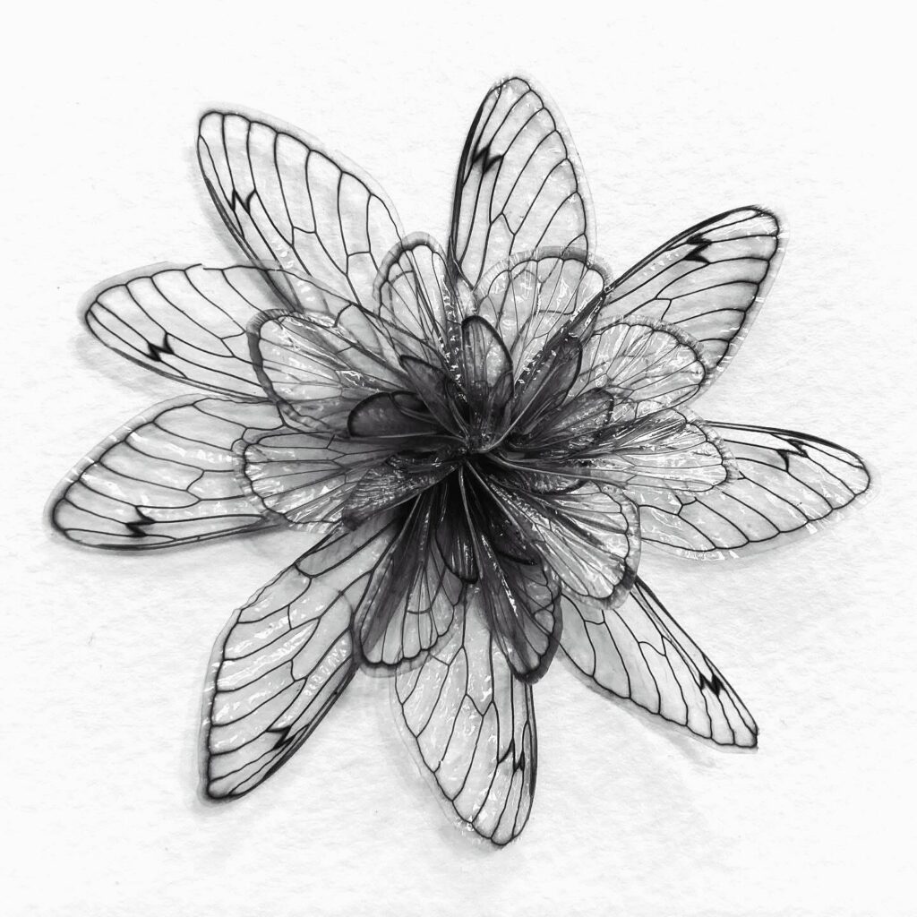 A flower made from overlapping transparent insect wings on a white background.