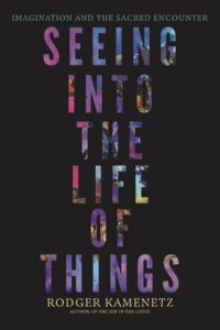 Book cover with colorful letters: Seeing Into the Life of Things by Rodger Kamenetz on a black background.