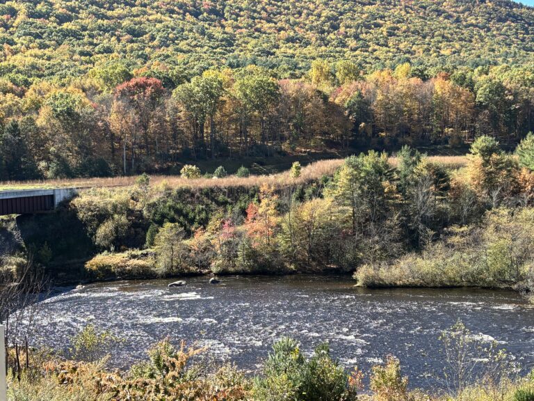 A river flowing past a hillside covered in autumn foliage.