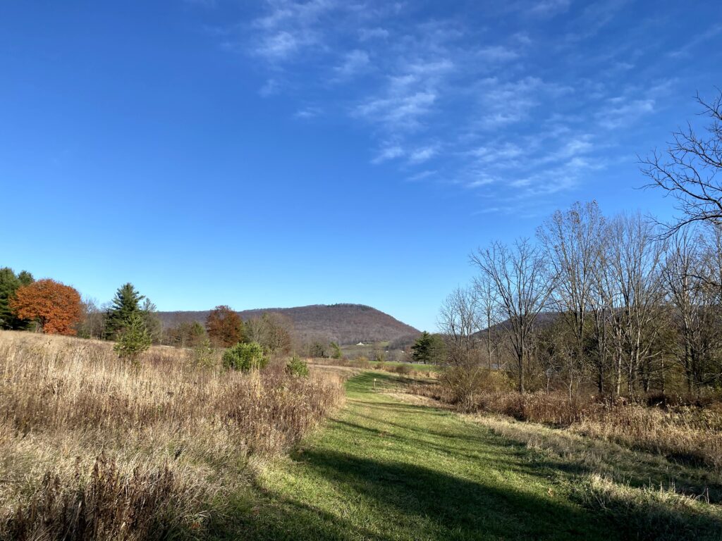 A grassy path leading through an autumn field toward a distant mountain under a clear blue sky.