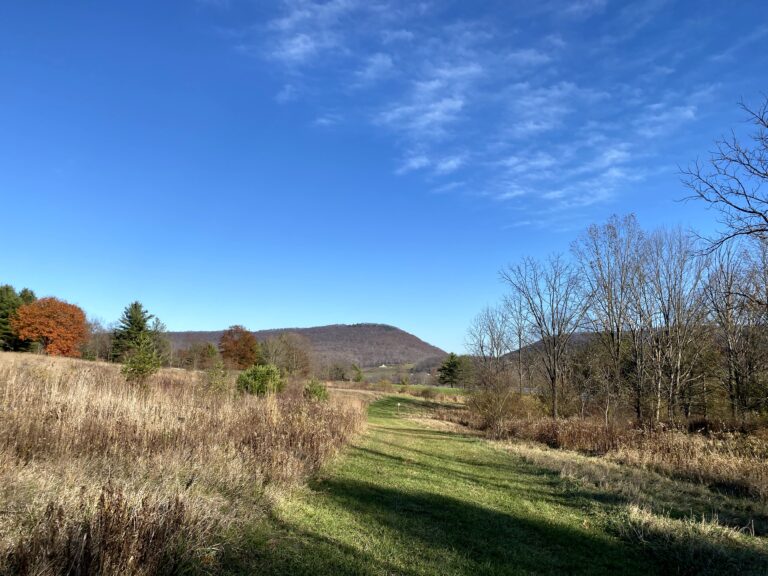 A grassy path leading through an autumn field toward a distant mountain under a clear blue sky.