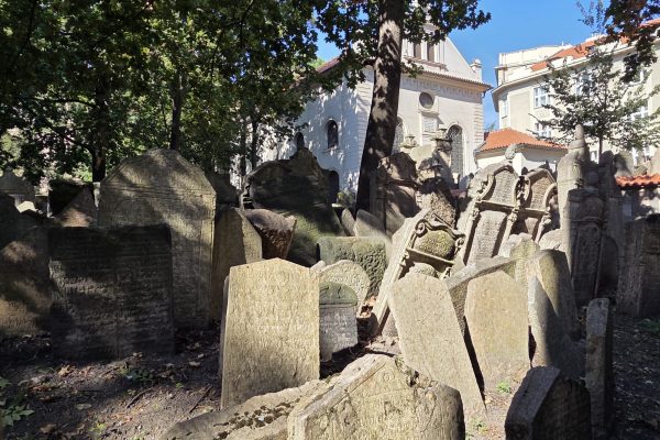 Old, weathered gravestones crowded together under trees near historic buildings on a sunny day.