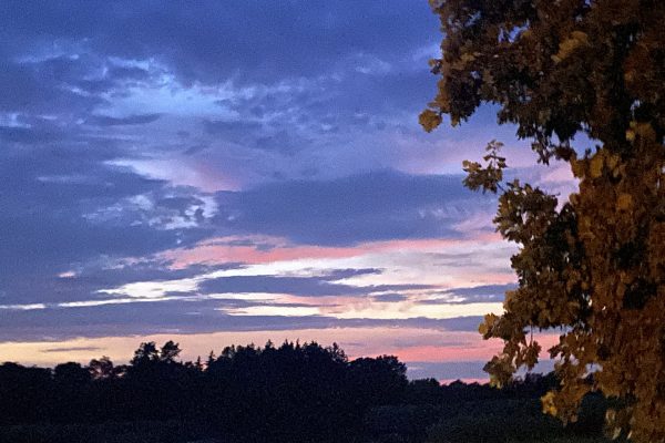 Colorful sunset sky with clouds, tree branches on the right, and a dark tree line in the distance.