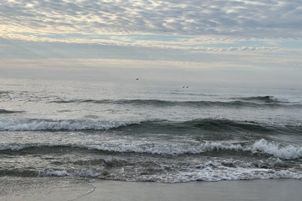 Waves gently crashing on a sandy beach under a cloudy sky with a few birds flying in the distance.
