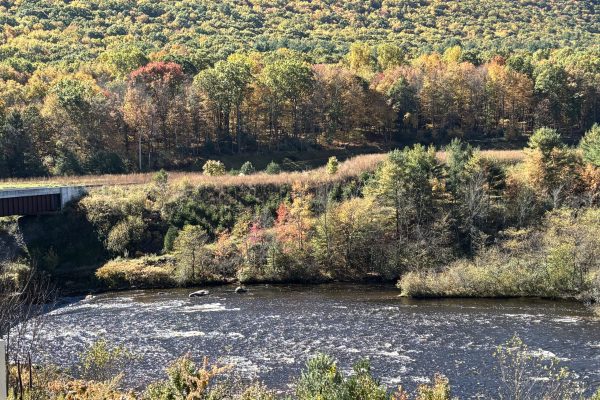 A river flowing past a hillside covered in autumn foliage.