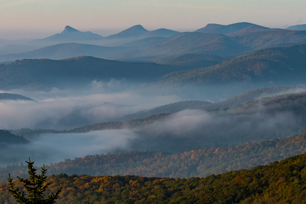 Rolling, mist-covered mountains at sunrise with autumnal forest in the foreground.